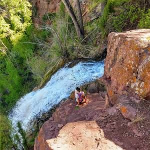 Meet your Posher, Lexi